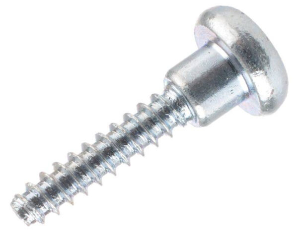 Värvaine R1, LT-R, R2 Clip Step Screw